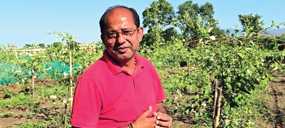 UK returnee builds four bigha jujube and poultry venture in Dang